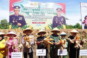 Polisi dan Warga Tani Panen Raya Jagung Hibrida Bhayangkara Tahap II di Ponorogo