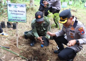 Kapolresta Banyuwangi Hadiri Penanaman dan Penghijauan Bersama PT BSI di Agathis Forest