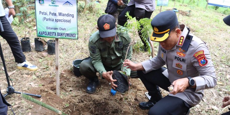 Kapolresta Banyuwangi Hadiri Penanaman dan Penghijauan Bersama PT BSI di Agathis Forest