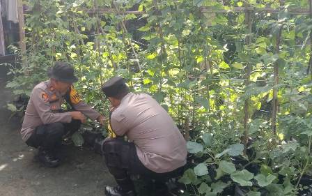 Polsek Sukodadi Polres Lamongan Cek Pekarangan Bergizi Warga untuk Dukung Swasembada Pangan